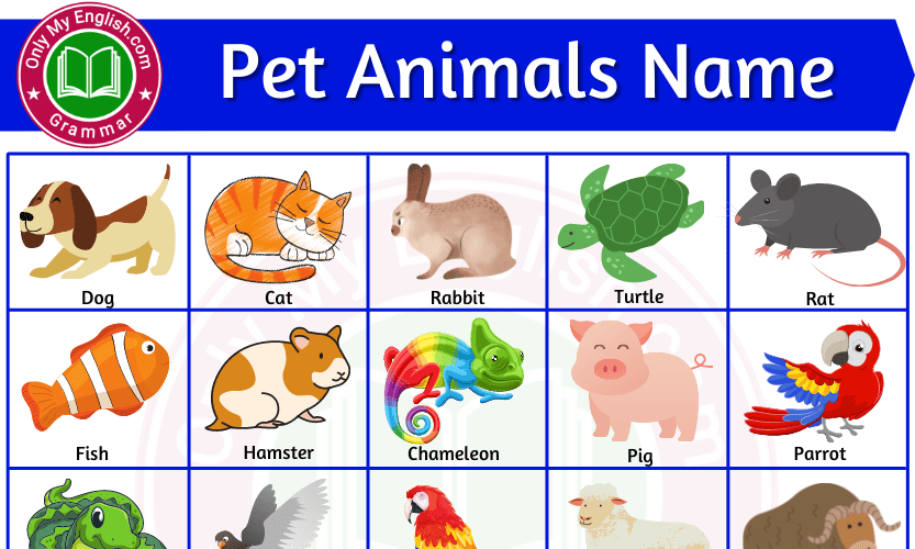 20+ Pet Animals Name in English with Images » OnlyMyEnglish