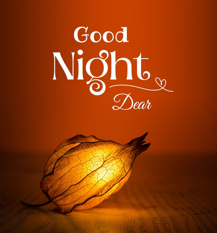 photo good night