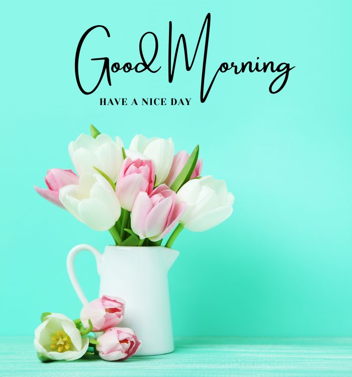 pic good morning