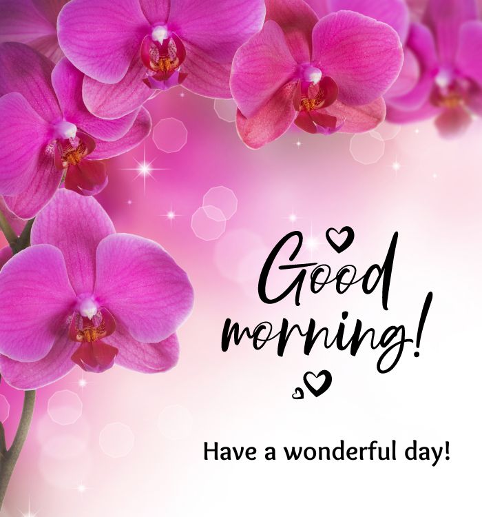 pic of good morning