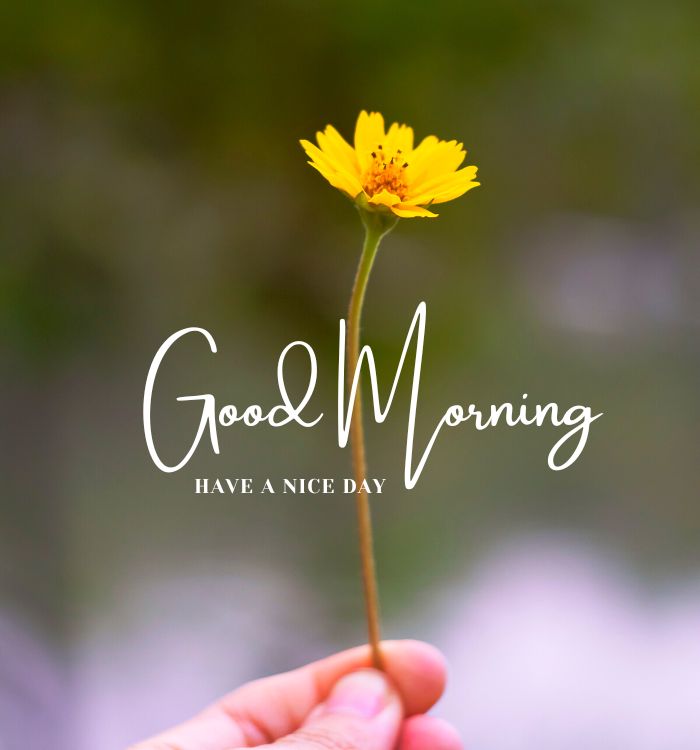 pics of good morning