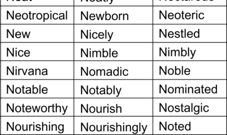 positive-words-that-start-with-n