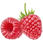 raspberry ketones