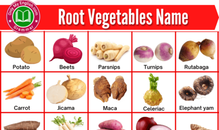 list of root vegetables with pictures
