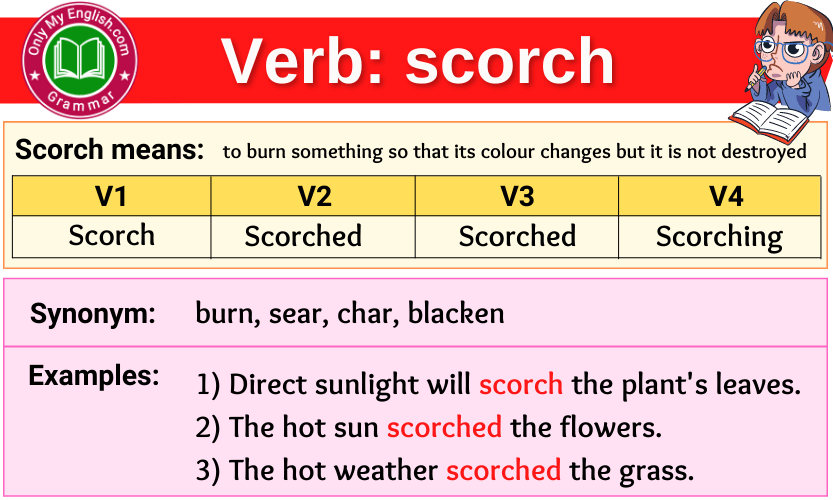 scorch verb forms v1 v2 v3 past tense and past participle-min