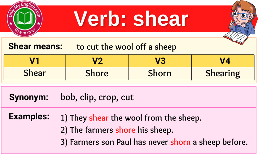 shear verb forms v1 v2 v3 past tense and past participle-min