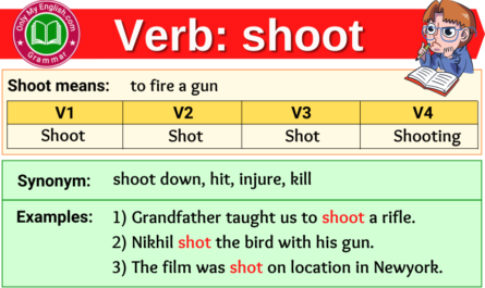 shoot verb forms v1 v2 v3 past tense and past participle