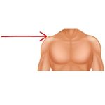 shoulder