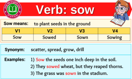sow verb forms v1 v2 v3 past tense and past participle