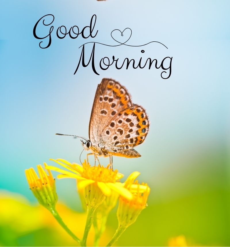 special good morning images