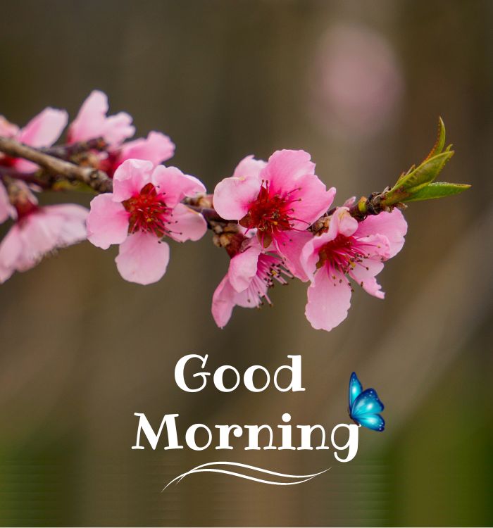 special good morning images