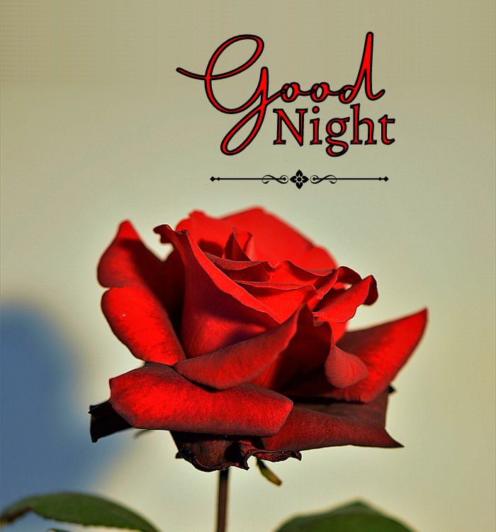 special good night images