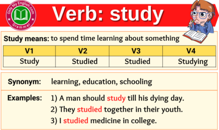study verb forms v1 v2 v3 past tense and past participle
