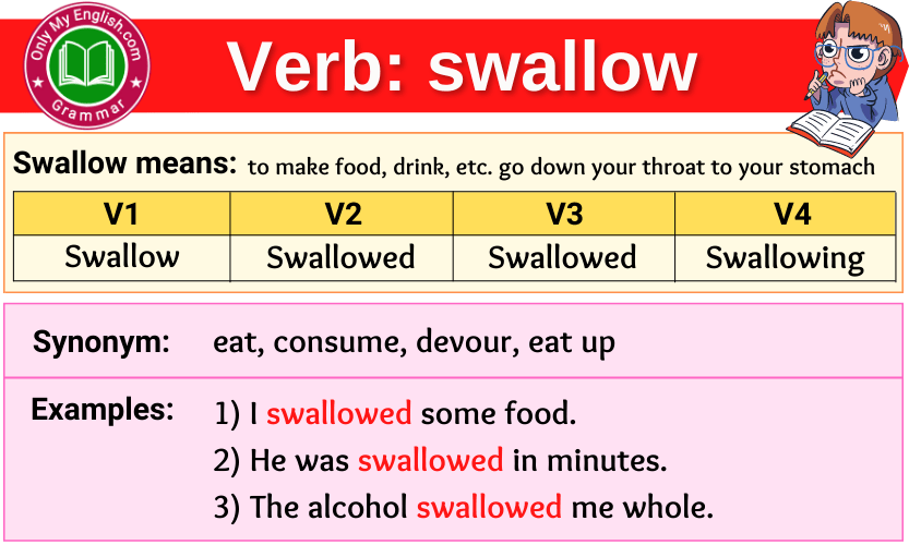 swallow verb forms v1 v2 v3 past tense and past participle-min