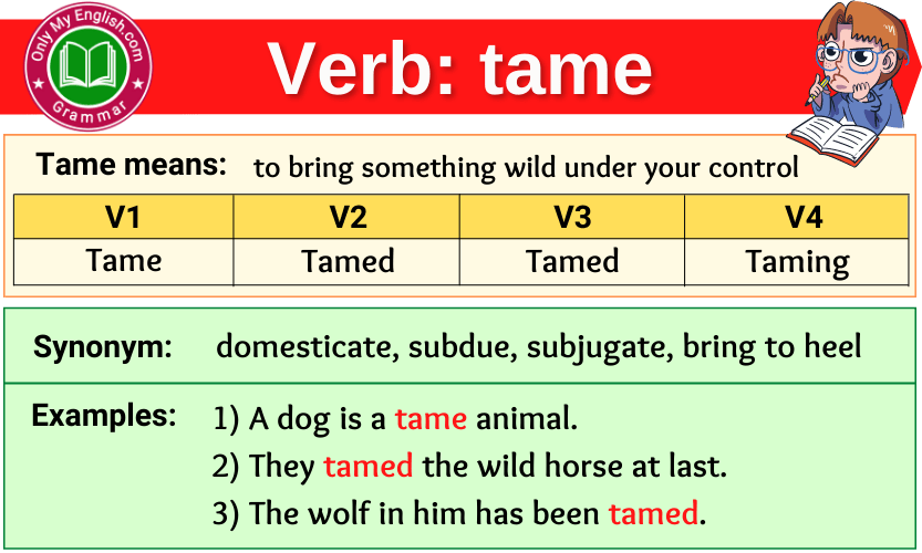 tame verb forms v1 v2 v3 past tense and past participle-min
