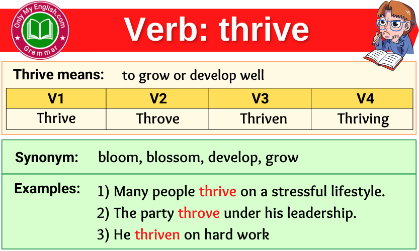 thrive verb forms v1 v2 v3 past tense and past participle-min