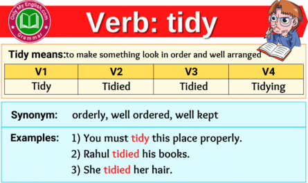 tidy verb forms v1 v2 v3 past tense and past participle