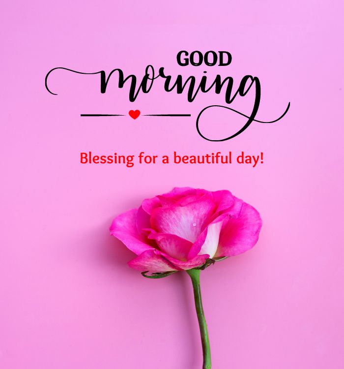 today good morning