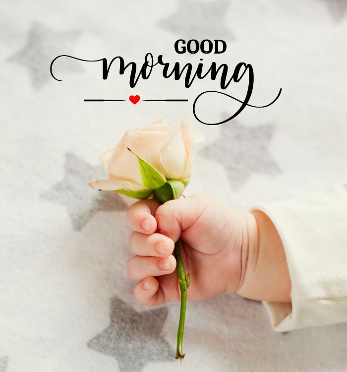 today image good morning