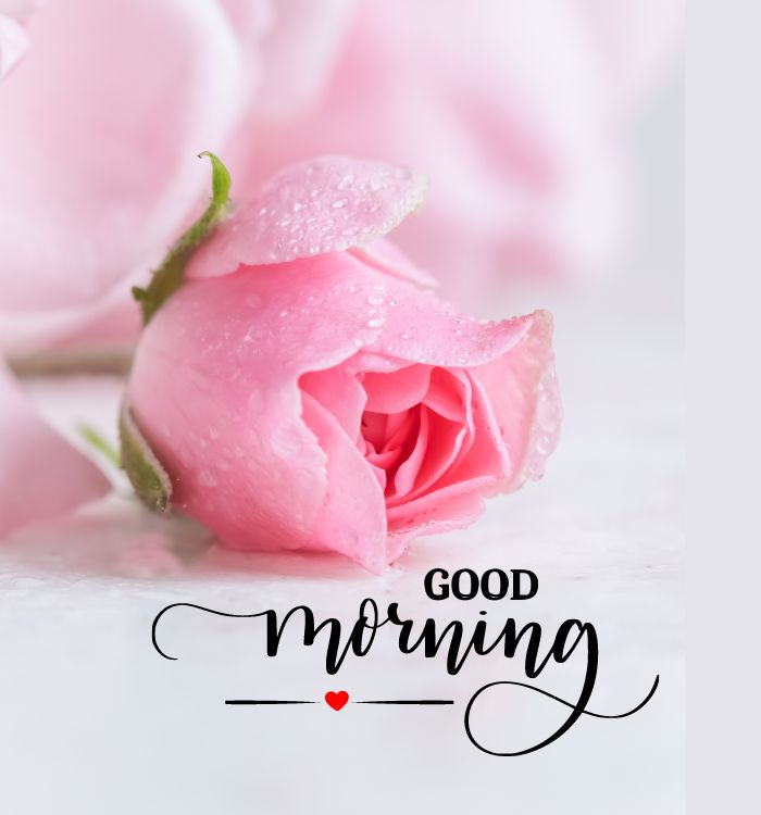 today special good morning images with thoughts