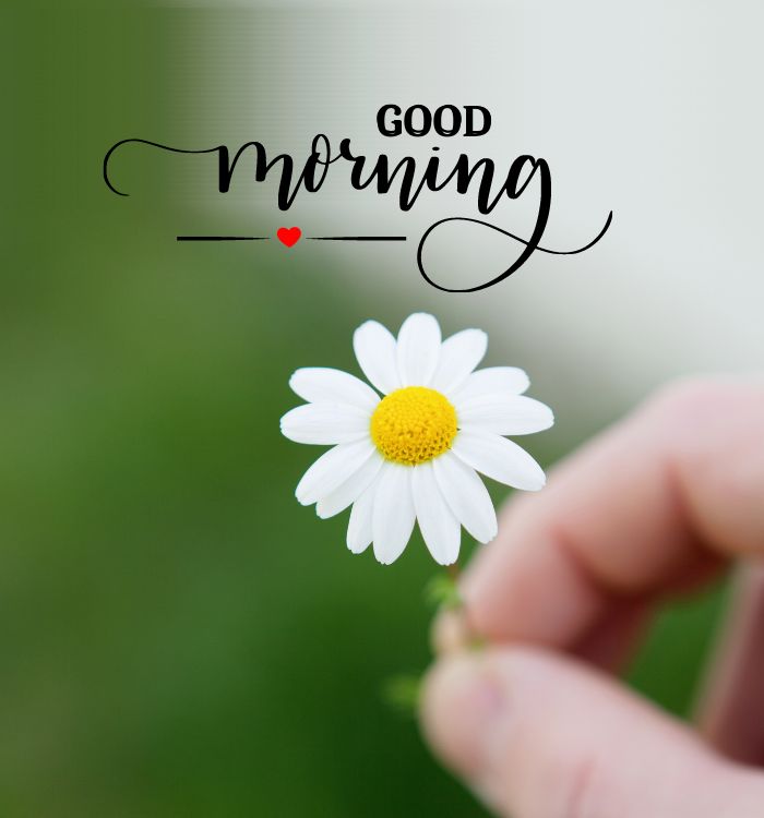 today special good morning images