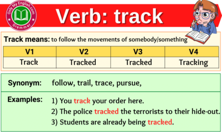 track verb forms v1 v2 v3 past tense and past participle