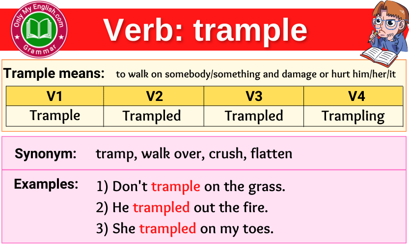 trample verb forms v1 v2 v3 past tense and past participle-min