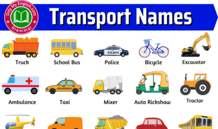 transport names