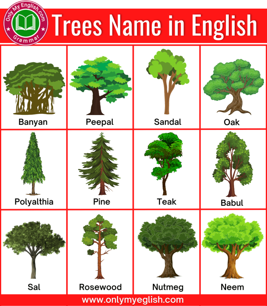 trees name in english