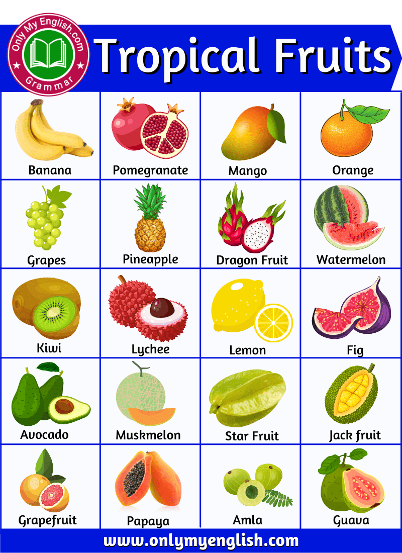 Tropical fruits name