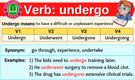 undergo verb forms v1 v2 v3 past tense and past participle