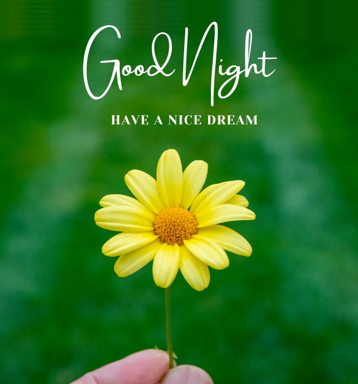 unique good night images