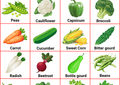 vegetable names in english