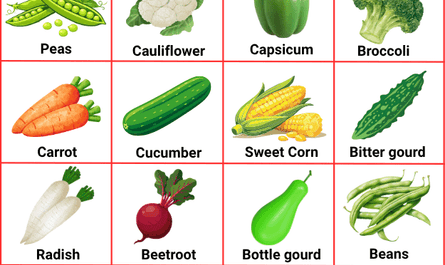 vegetable names in english