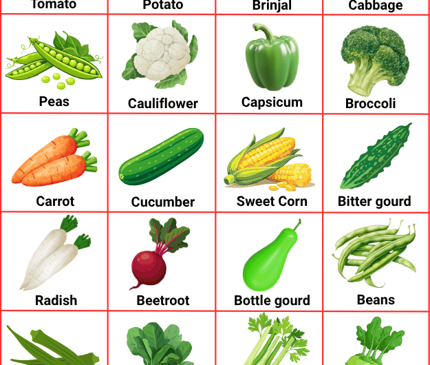 Vegetable Names in English