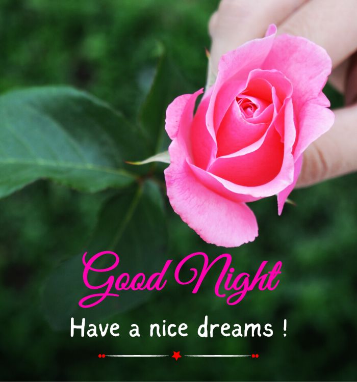 very good night