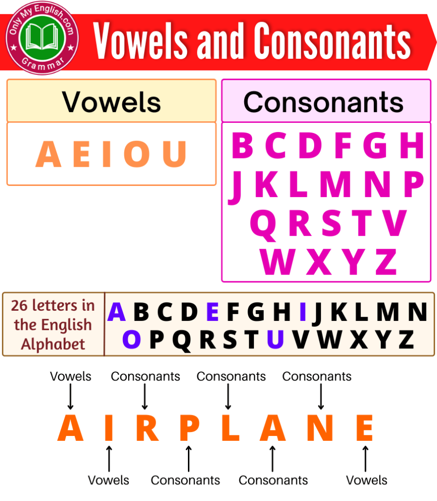 Difference Between Vowels And Consonants Infographic