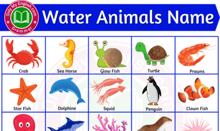 water animals name