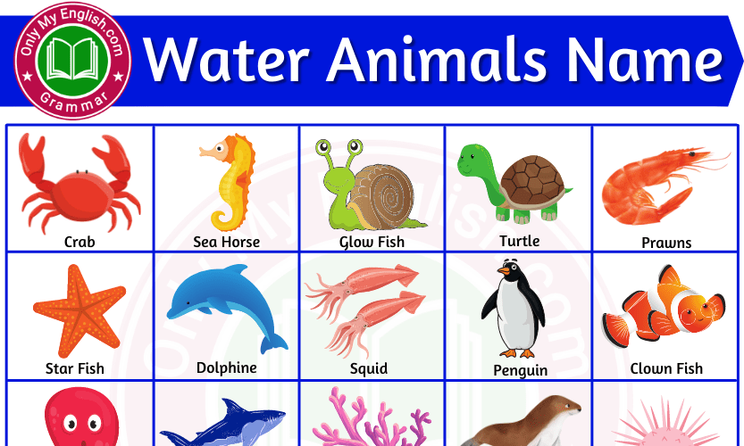 10 Water Animals Name With Pictures English Grammar Here, 43% OFF