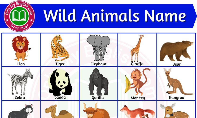 List of Wild Animals Names in English For Kids