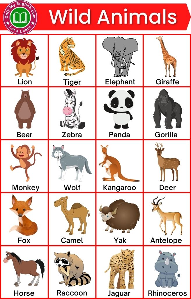 wild animals