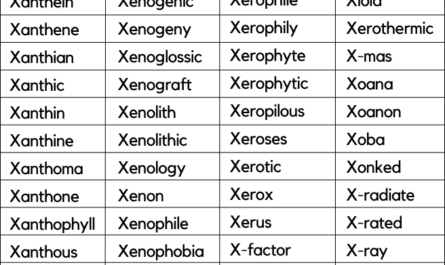 words-that-start-with-x