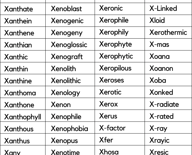 300+ Words That Start with X | Words Starting with X