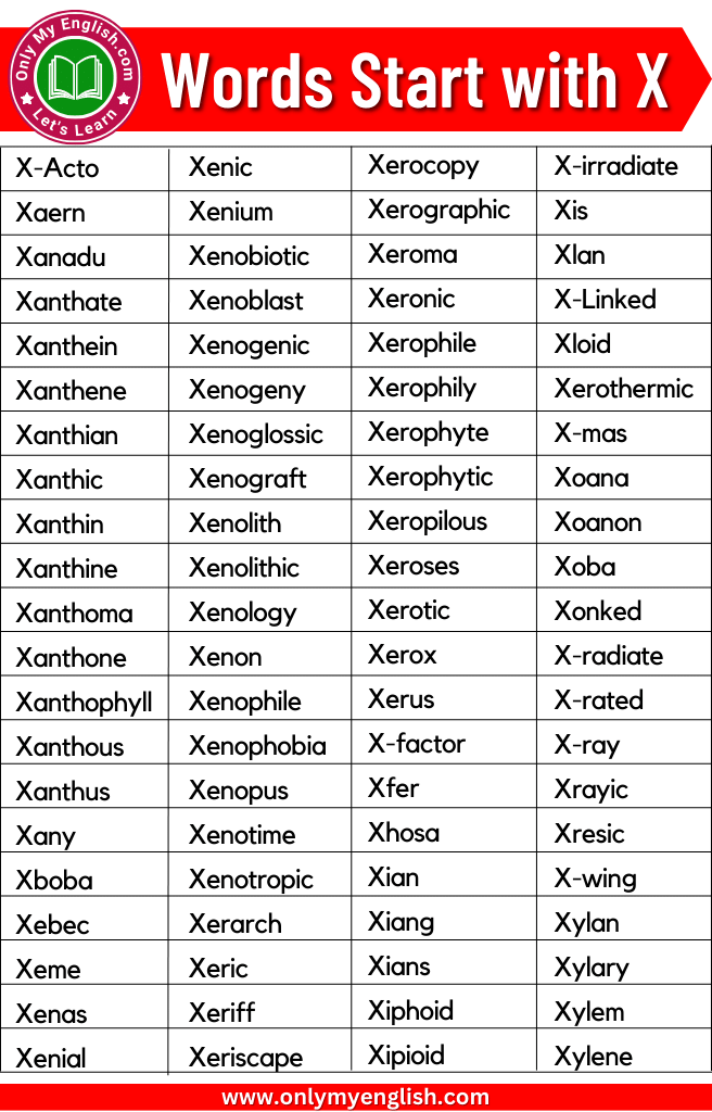 300+ Words That Start with X Words Starting with X