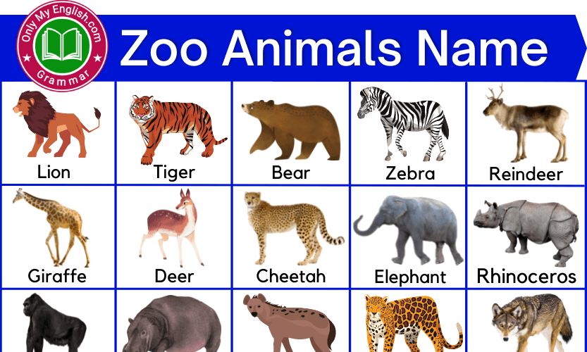 100 Common Zoo Animals List with Pictures » OnlyMyEnglish