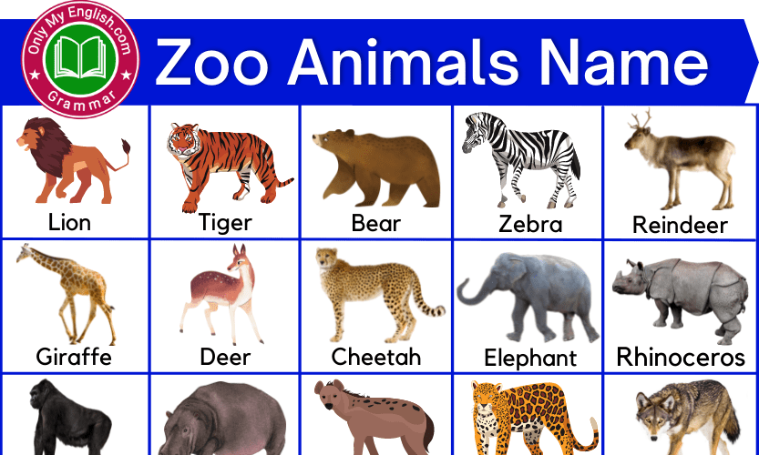 100 Common Zoo Animals List With Pictures Onlymyenglish